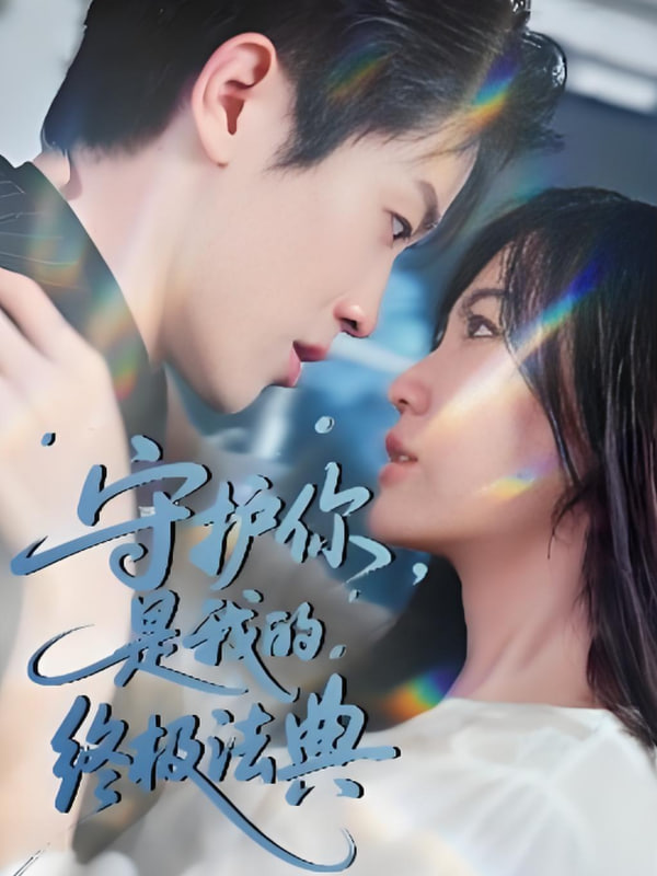 守护你，是我的终极法典封面图