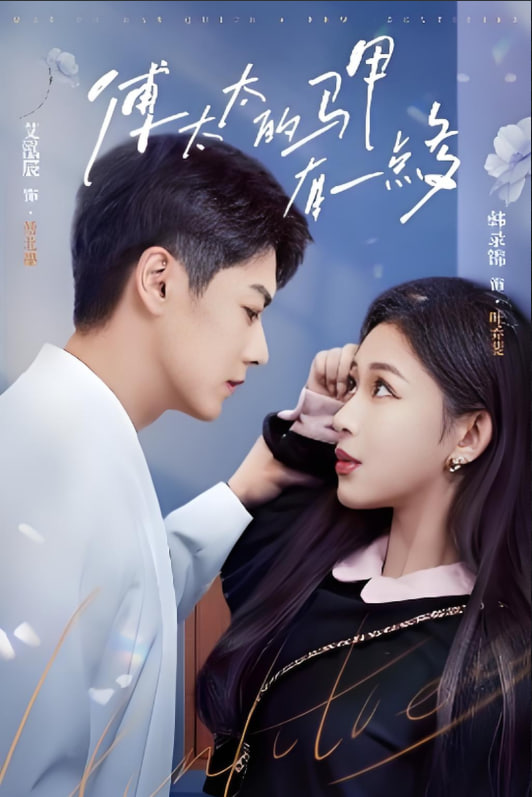 傅太太的马甲有一点多封面图