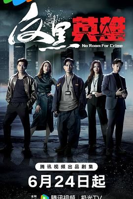 反黑英雄 粤语版封面图