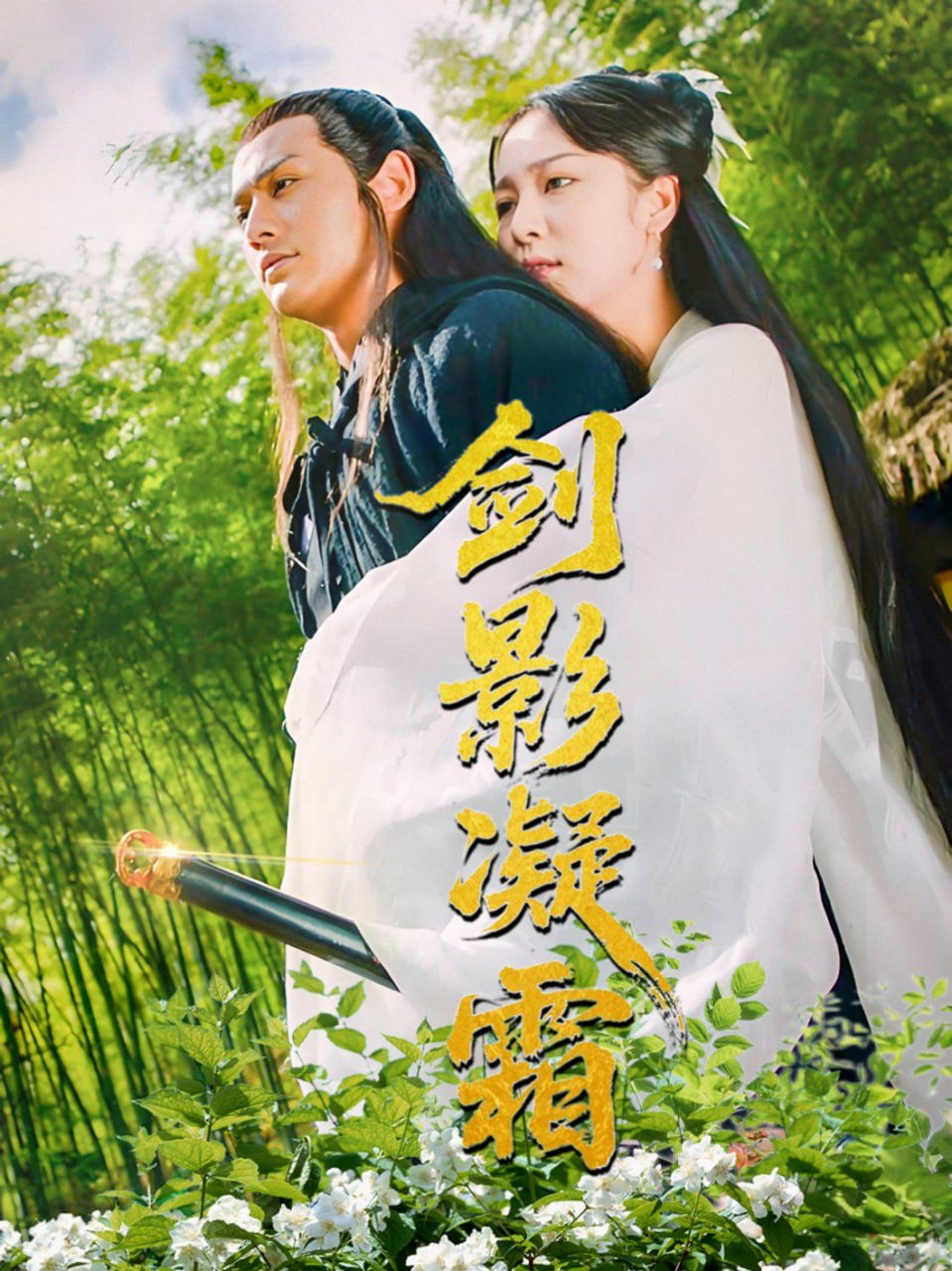 剑影凝霜封面图