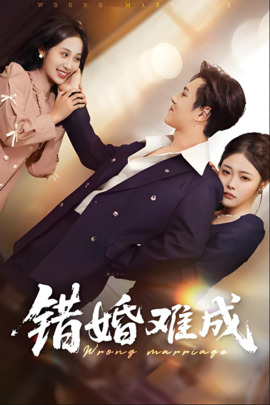 错婚难成封面图