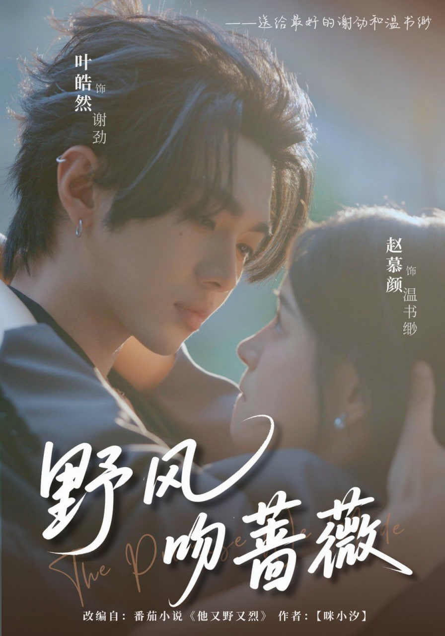 野风吻蔷薇封面图