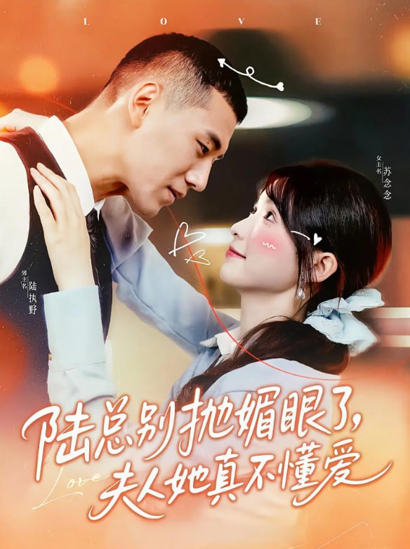 陆总别抛媚眼了夫人她真不懂爱封面图