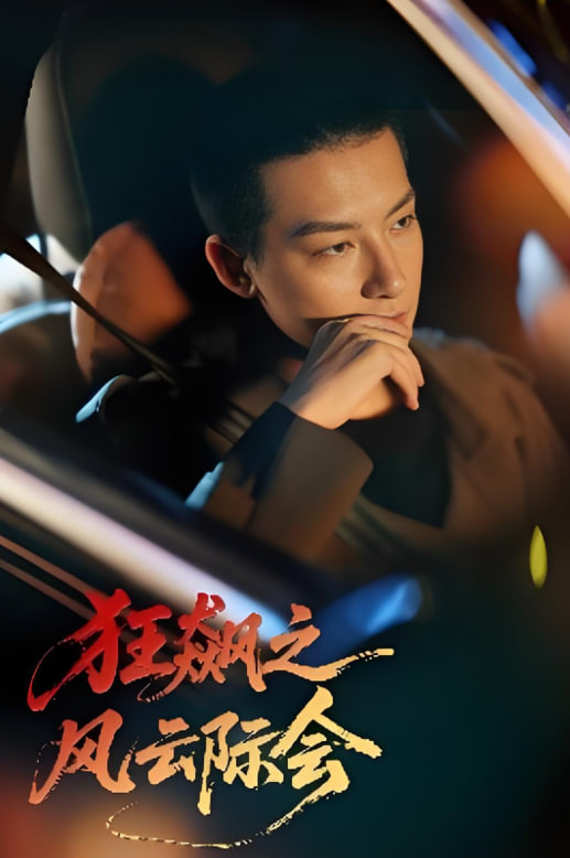 狂飙之风云际会封面图