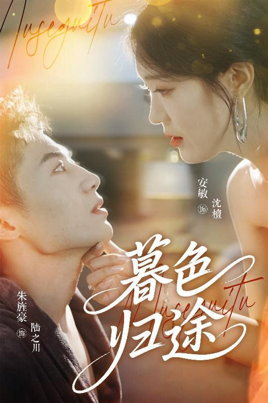 暮色归途封面图