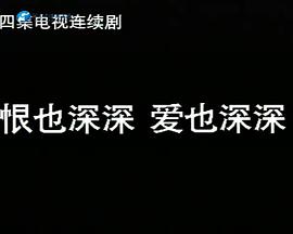 恨也深深爱也深深封面图