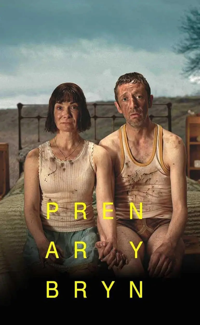 山丘上的树封面图