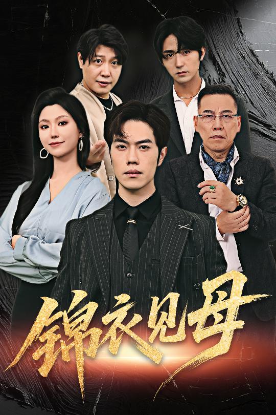 锦衣见母封面图