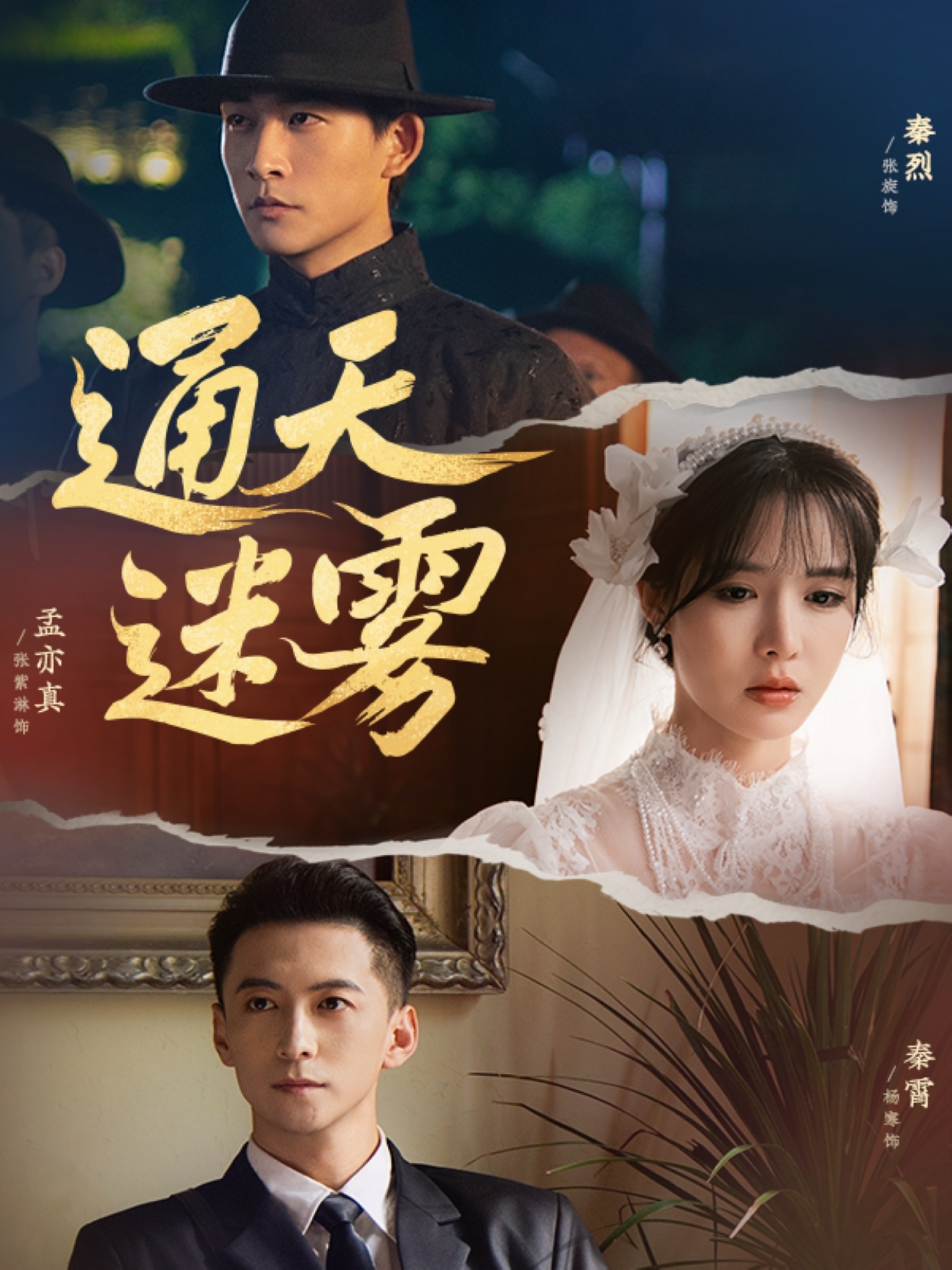 通天迷雾封面图