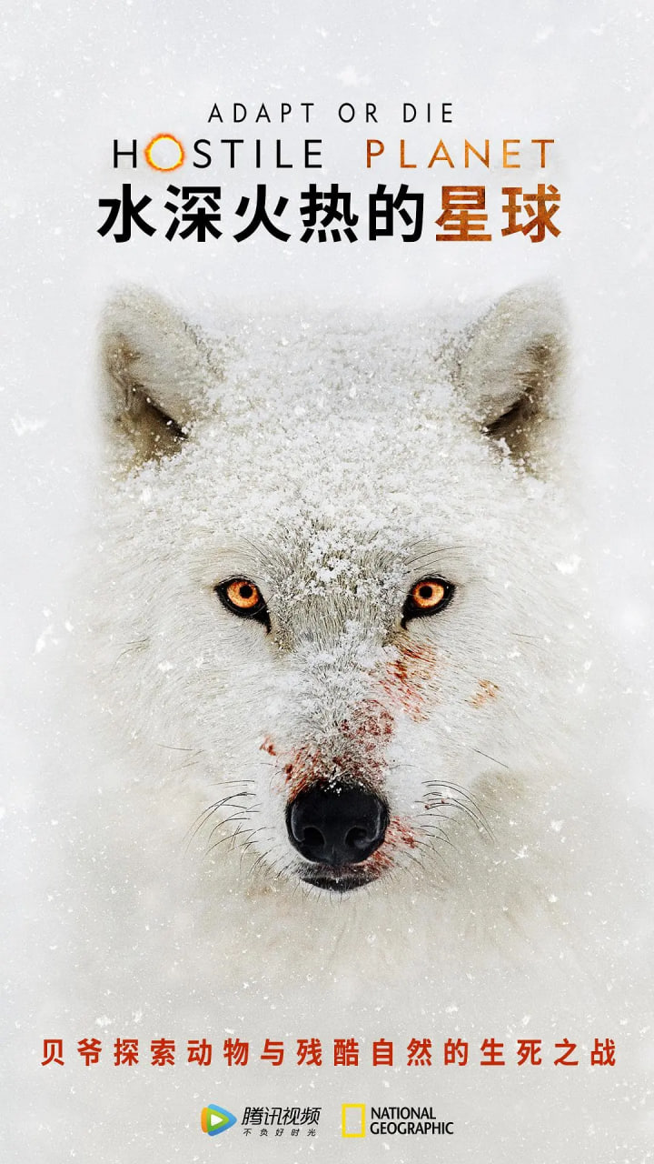 水深火热的星球封面图