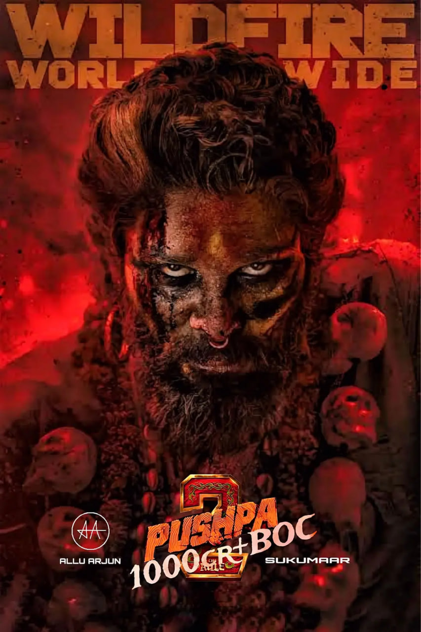 普什帕：裁决封面图