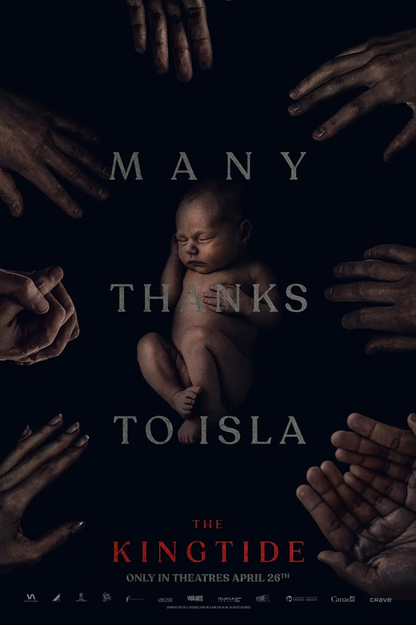 王潮 The King Tide (2023)封面图