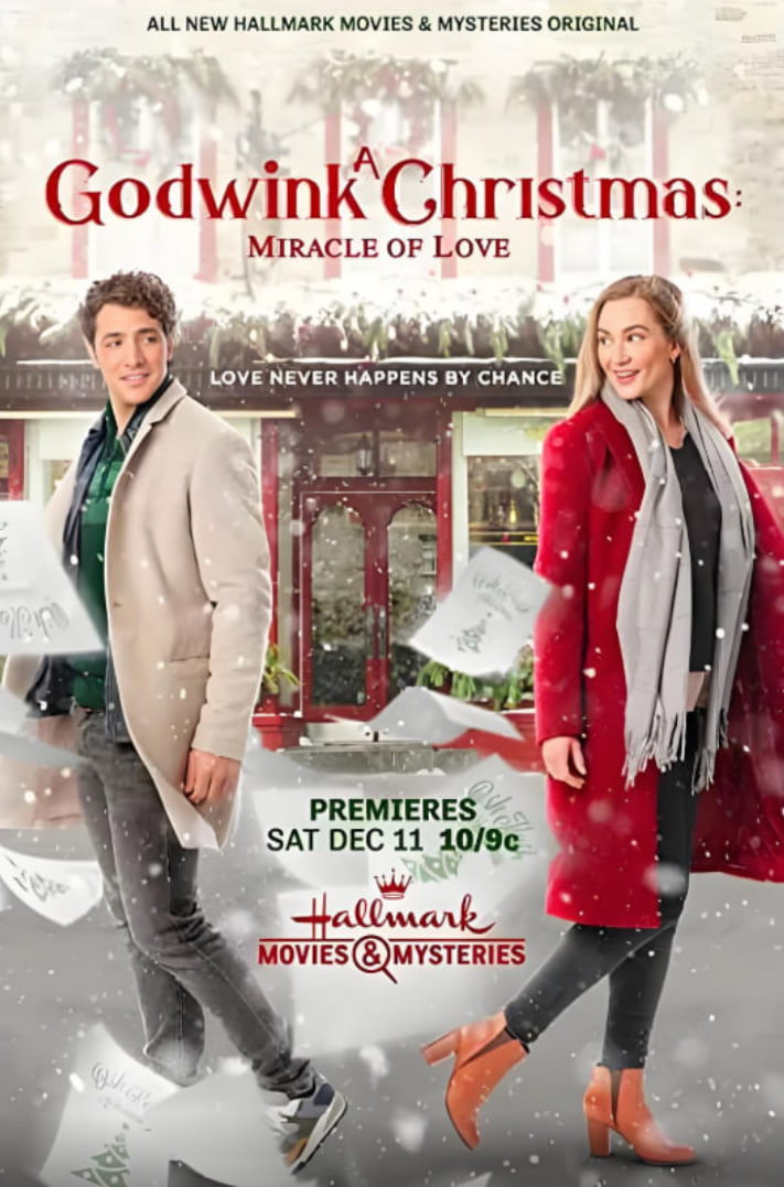 戈德温克的圣诞节：爱的奇迹封面图