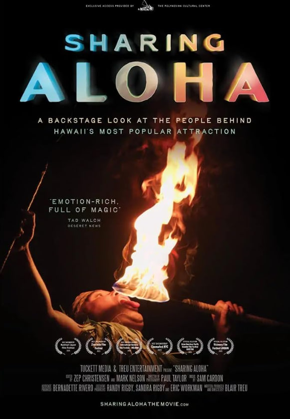 分享 2025封面图