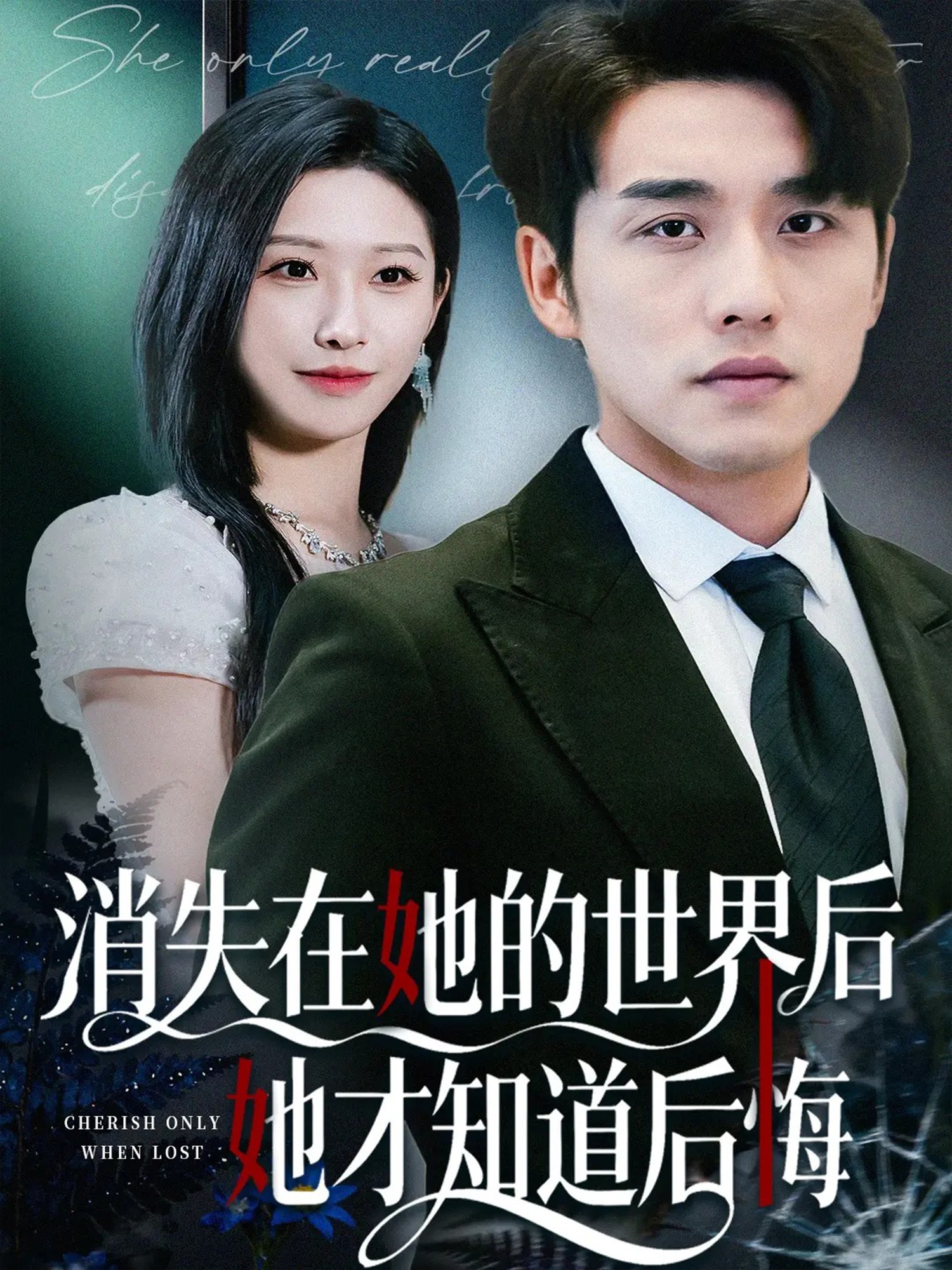 消失在她的世界后她才知道后悔封面图