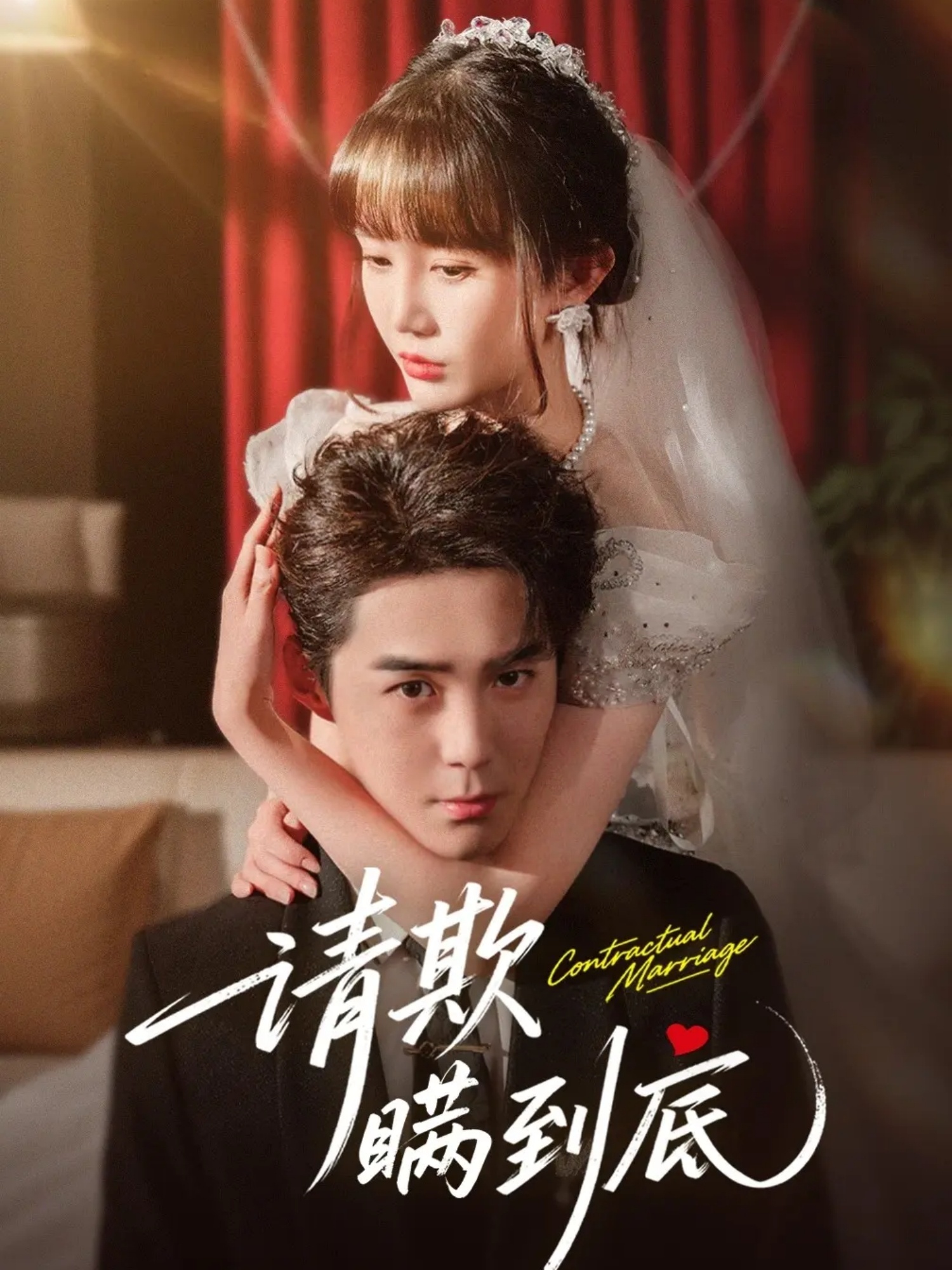 请欺瞒到底封面图