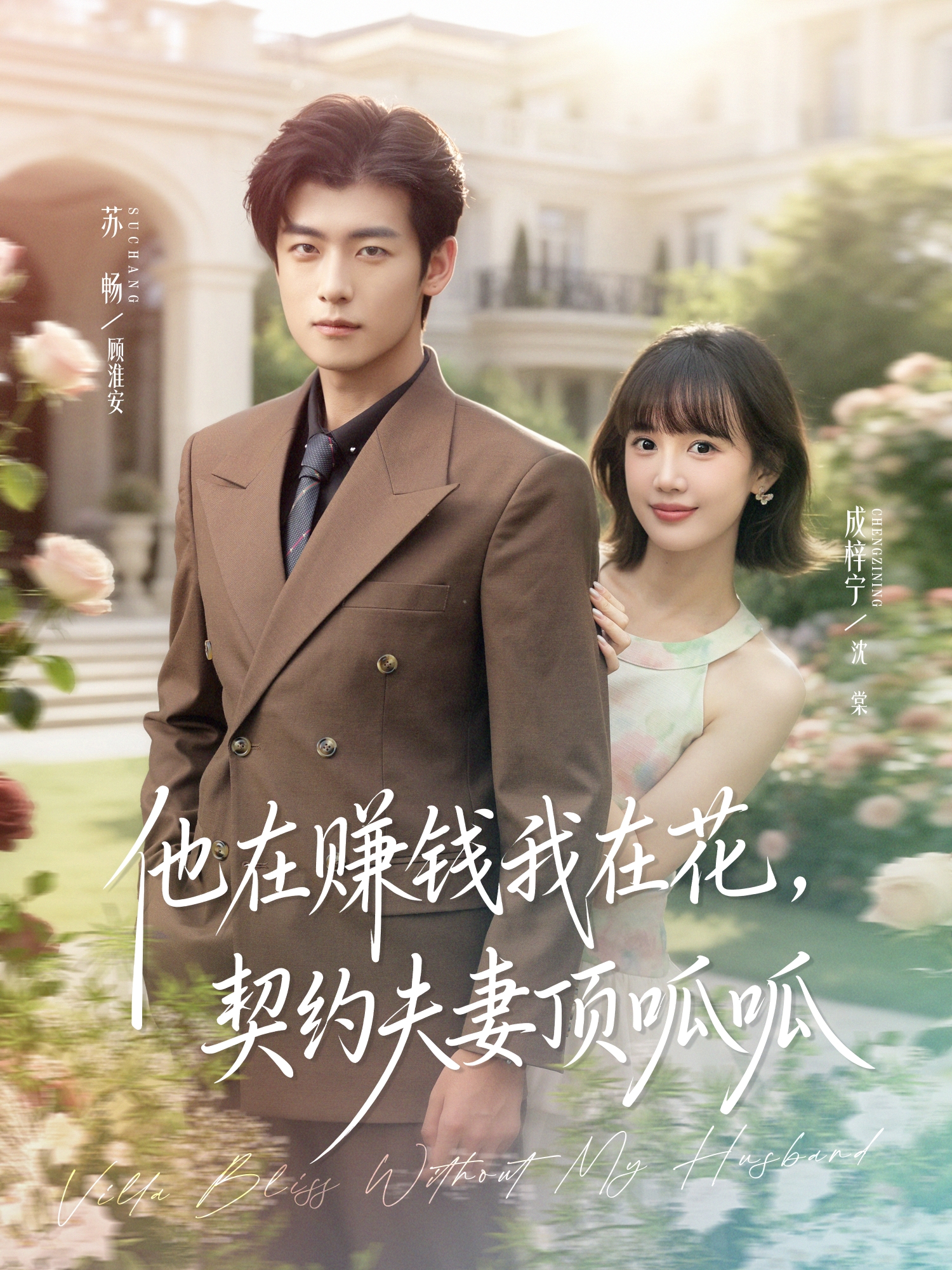 他在赚钱我在花，契约夫妻顶呱呱封面图