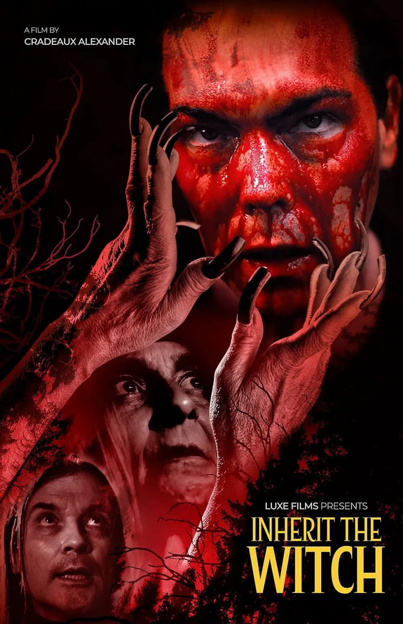 继承女巫封面图