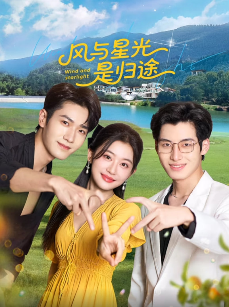 风与星光是归途封面图