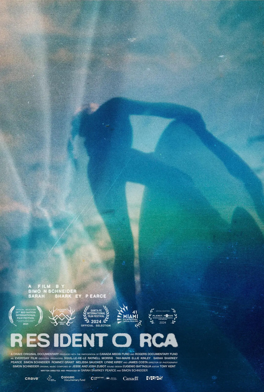 常驻虎鲸封面图