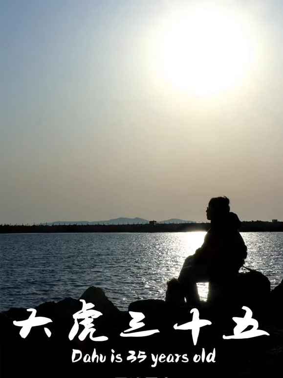 大虎三十五封面图