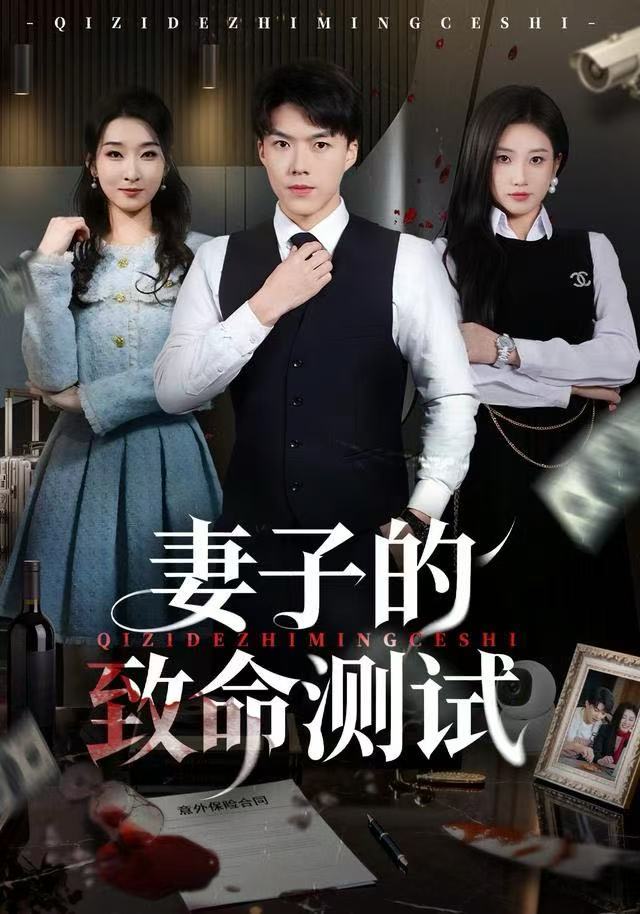 妻子的致命测试封面图