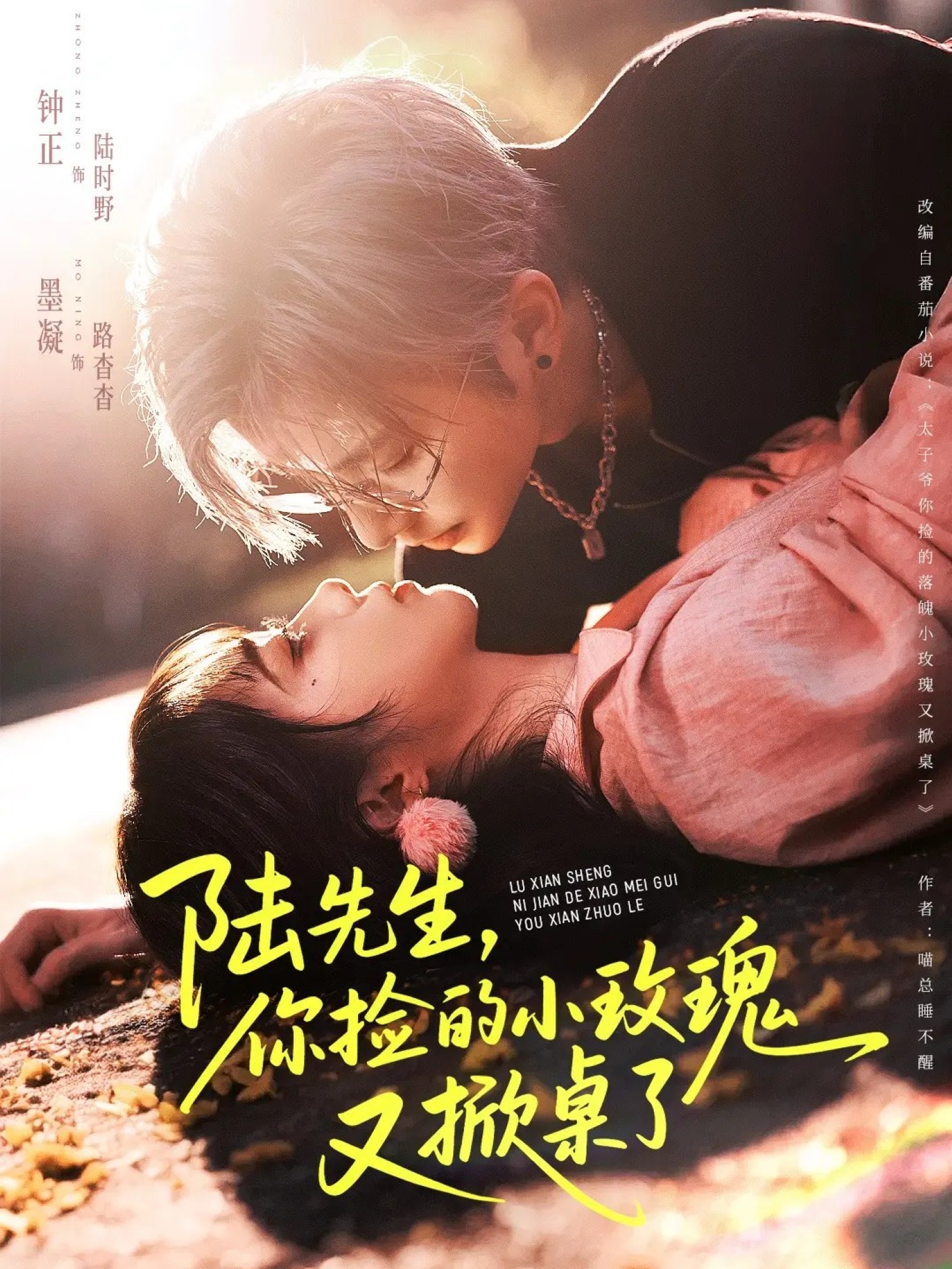 陆先生，你捡的小玫瑰又掀桌了封面图