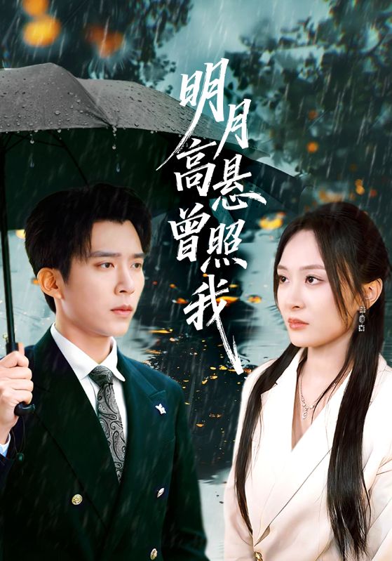 明月高悬曾照我封面图