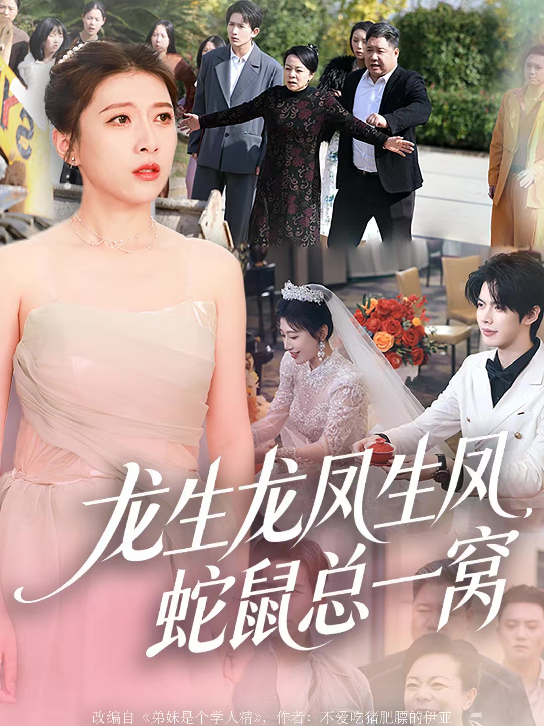 龙生龙凤生凤，蛇鼠总一窝封面图