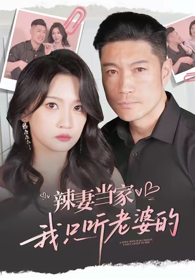辣妻当家，我只听老婆的封面图