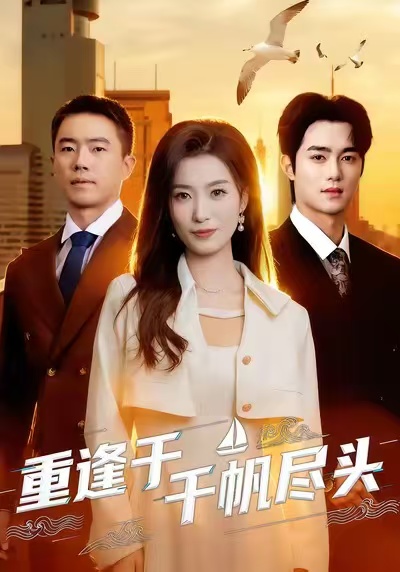 重逢于千帆尽头封面图