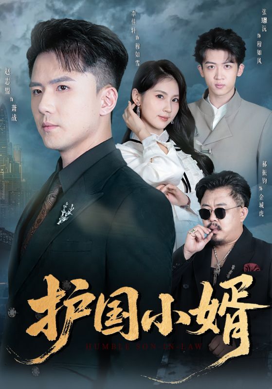 护国小婿封面图