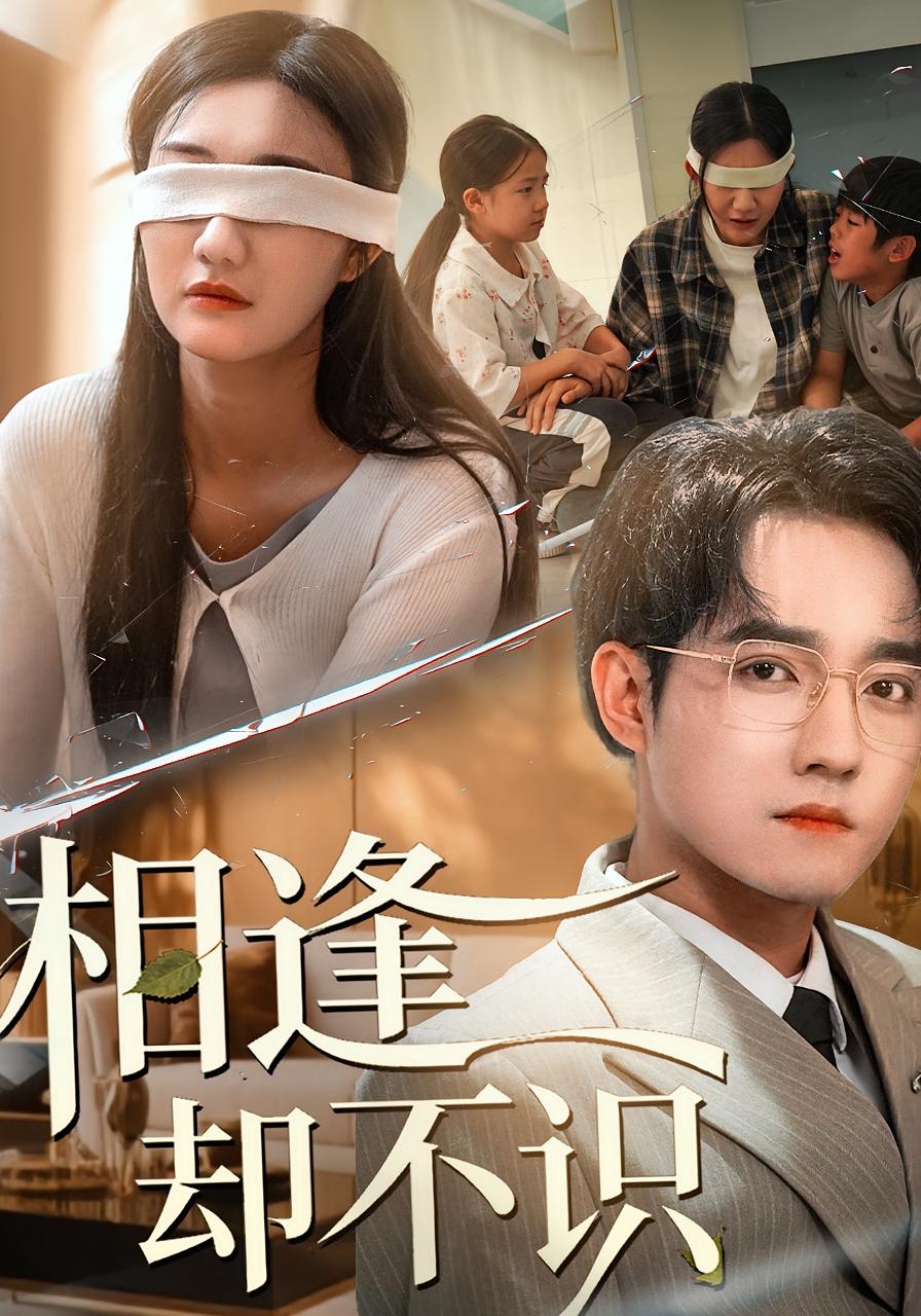 相逢却不识封面图