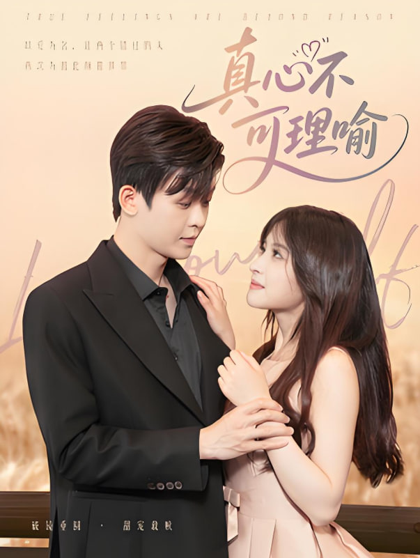 真心不可理喻封面图