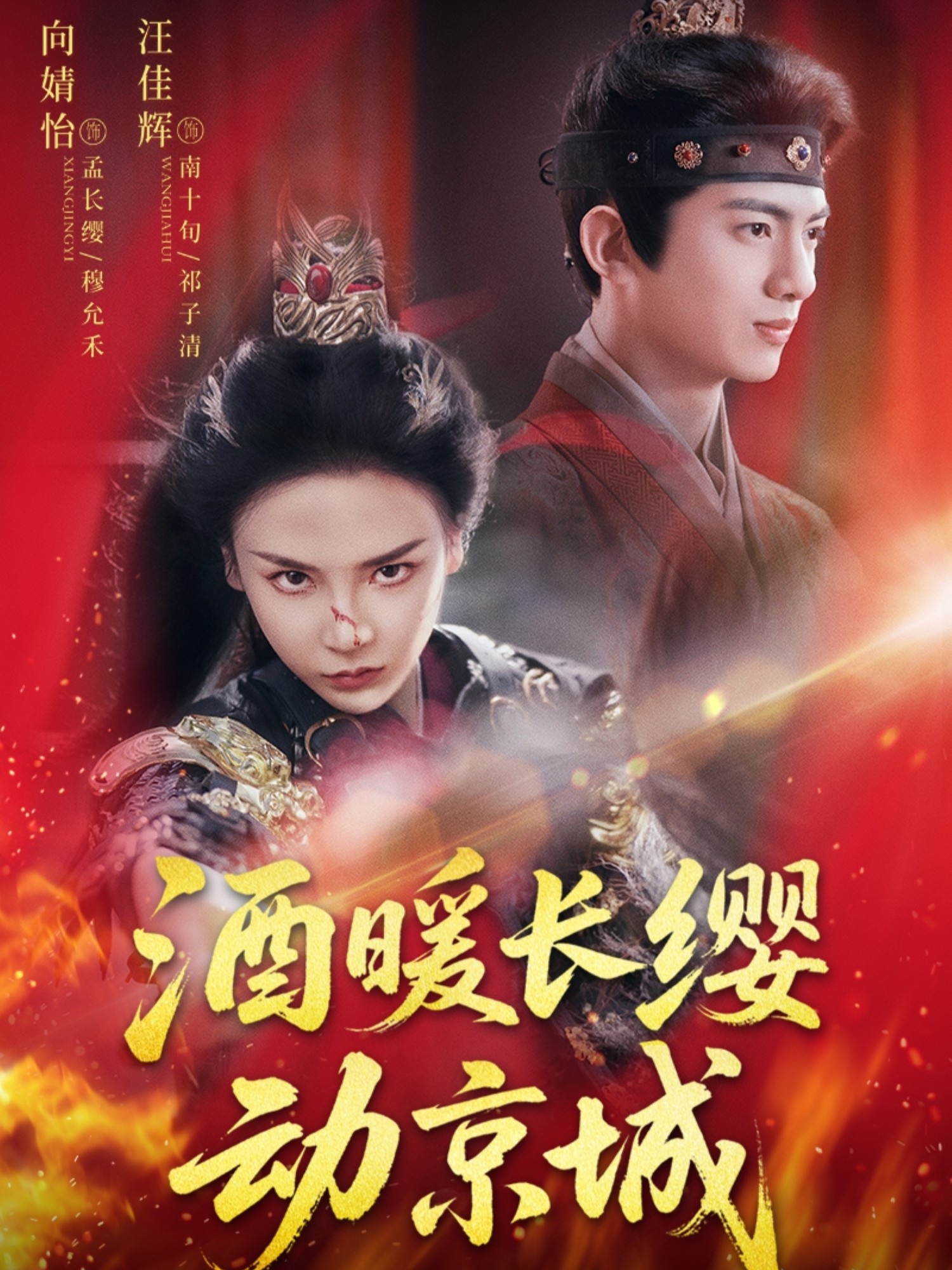 酒暖长缨动京城封面图