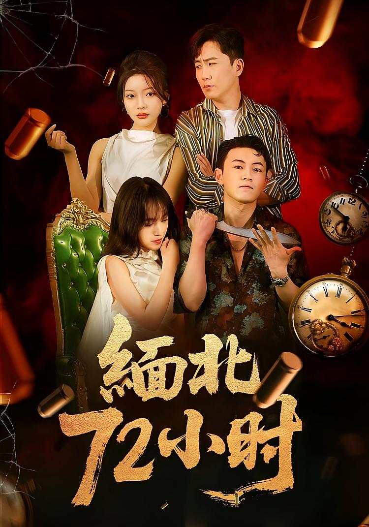 缅北72小时封面图