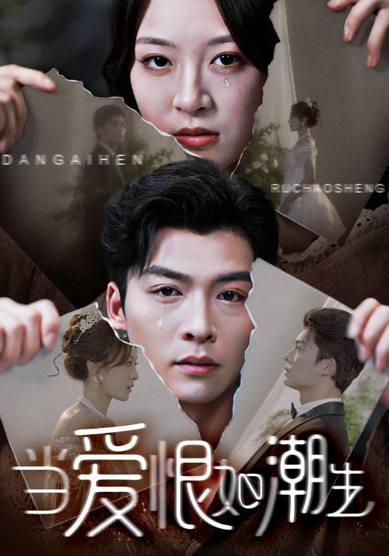 当爱恨如潮生封面图