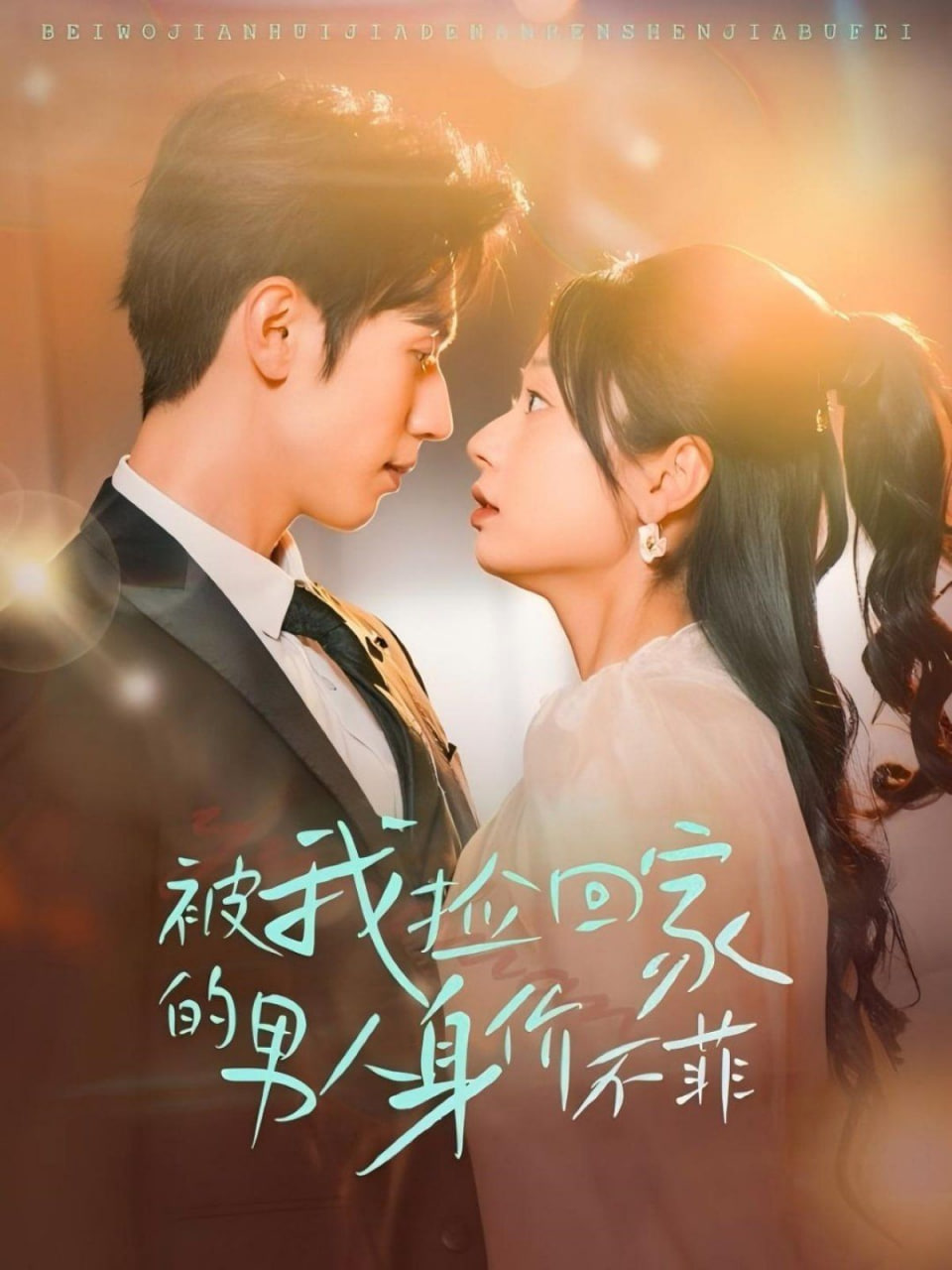 被我捡回家的男人身价不菲封面图