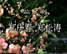 桃色将军封面图