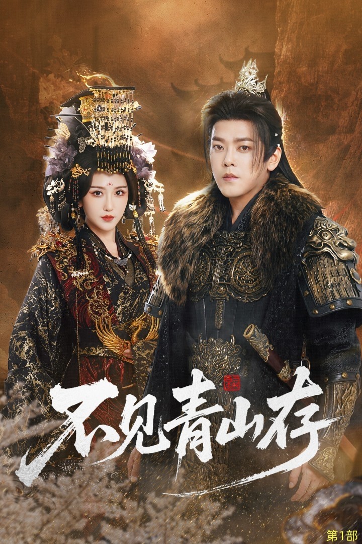 不见青山存封面图