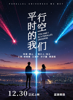 平行时空的我们封面图