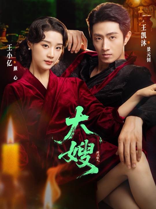 大嫂烽火佳人封面图