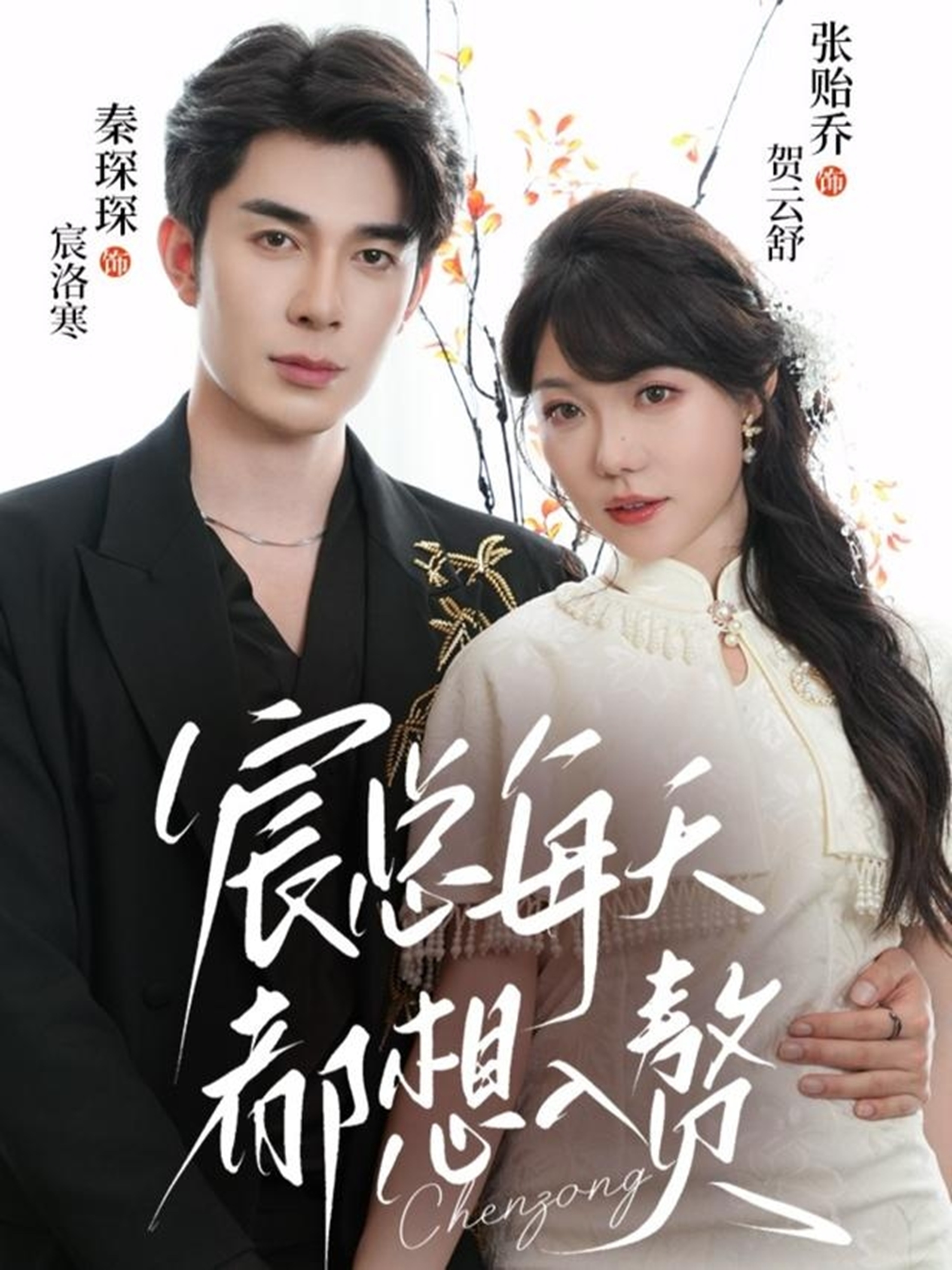 宸总每天都想入赘封面图