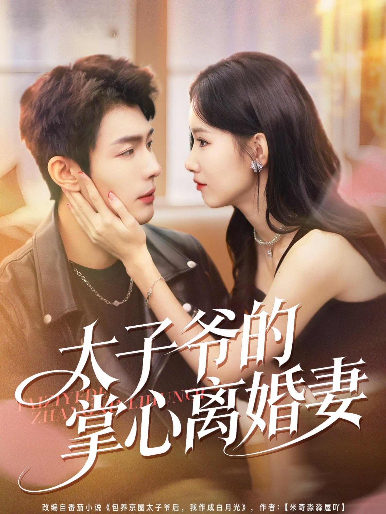 太子爷的掌心离婚妻封面图