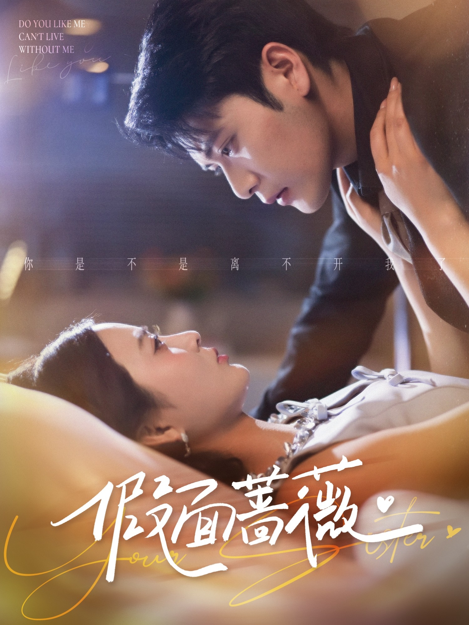 假面蔷薇封面图