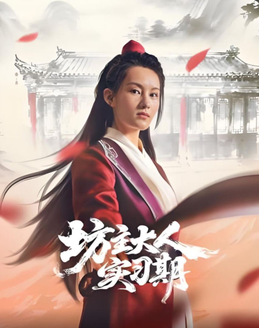 坊主大人实习期封面图