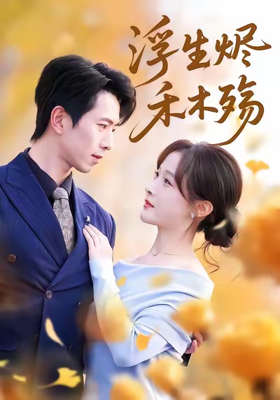 浮生烬禾木殇封面图