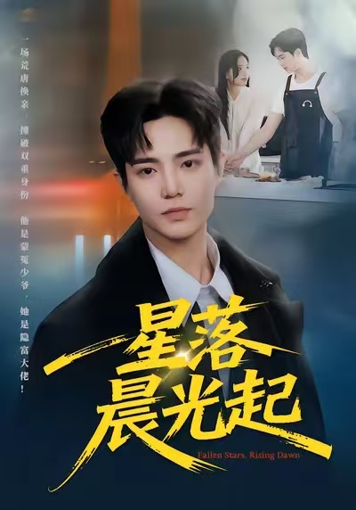星落晨光起封面图