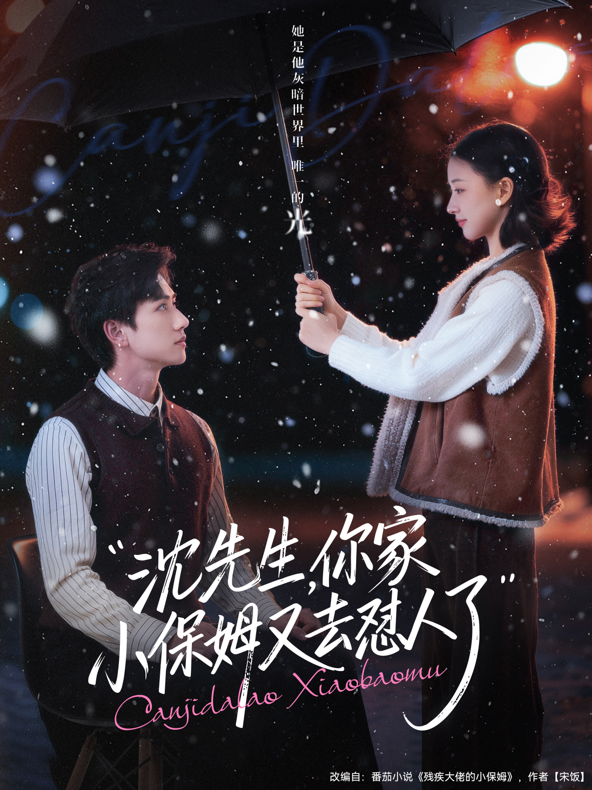 沈先生，你家小保姆又去怼人了封面图