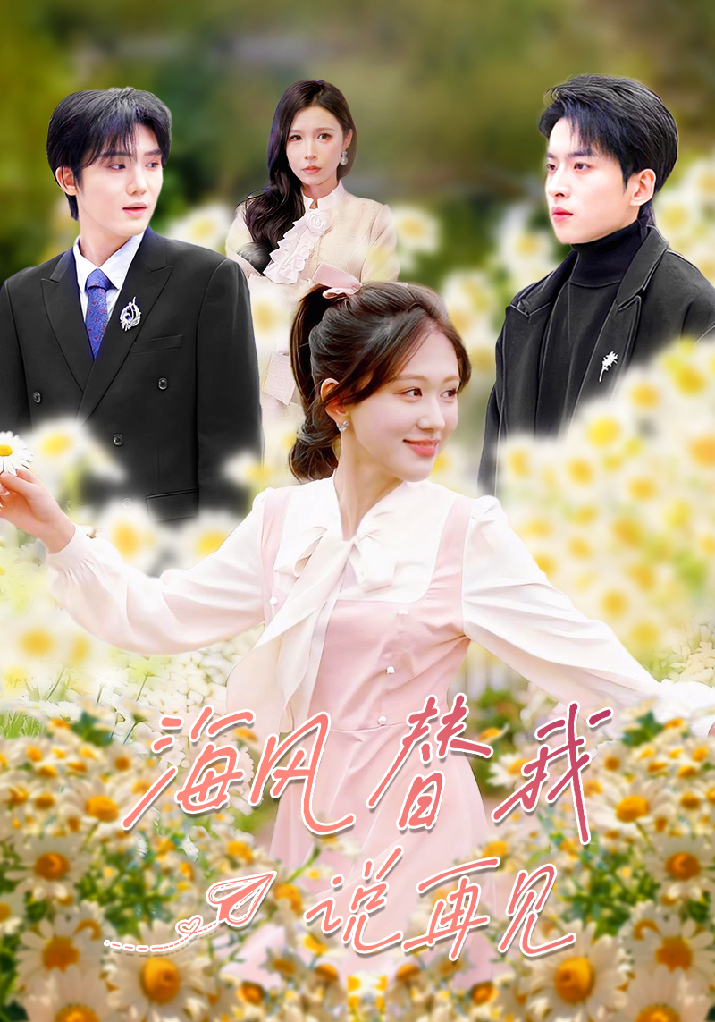 海风替我说再见封面图